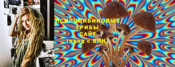 дурь Алзамай