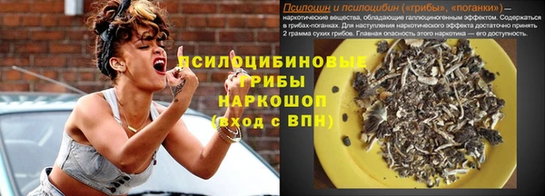 дурь Алзамай