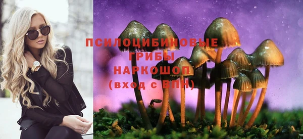 ECSTASY Алексеевка