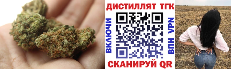 omg вход  Приозерск  ТГК жижа 