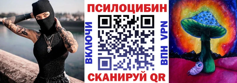 наркотики блэк спрут ССЫЛКА Галлюциногенные грибы Psilocybe Приозерск